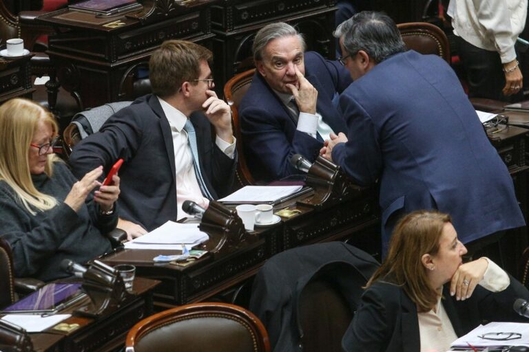 Lee más sobre el artículo Dura derrota de Milei en Diputados: media sanción para una nueva fórmula de movilidad jubilatoria