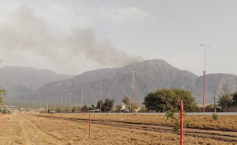 Lee más sobre el artículo INCENDIO DE GRAN MAGNITUD EN EL CERRO DE LA CRUZ