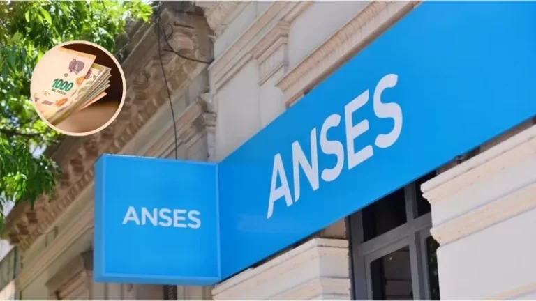 Lee más sobre el artículo ANSES paga $351.184: quiénes pueden acceder en agosto 2024