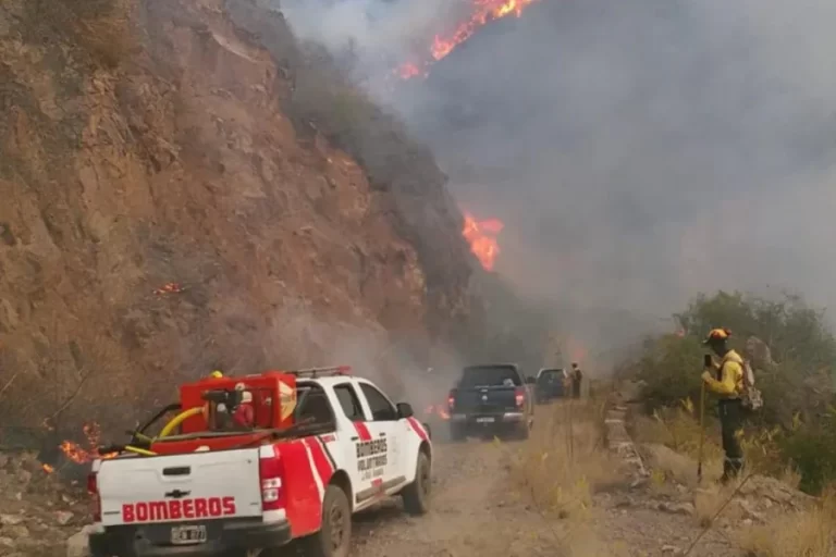 Lee más sobre el artículo Intenso trabajo para sofocar el incendio en el Cordón del Velazco