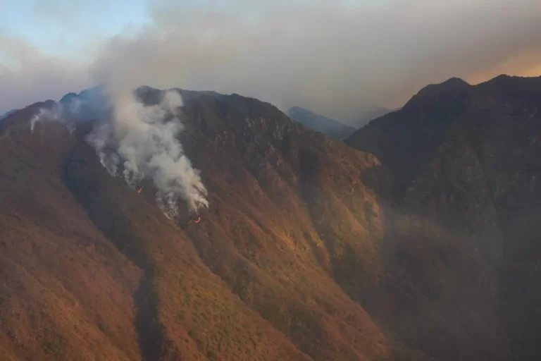 Lee más sobre el artículo Velasco: Continúan las tareas para controlar el incendio