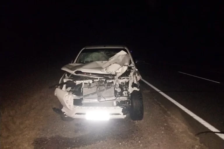 Lee más sobre el artículo Intendenta santiagueña sufrió accidente en La Rioja
