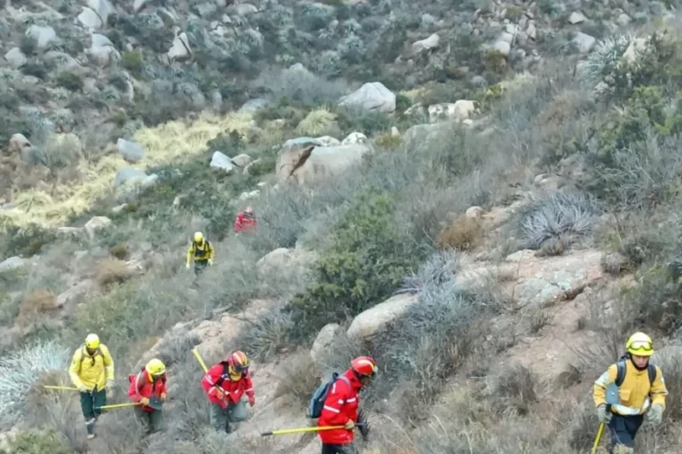 Lee más sobre el artículo Se reavivan focos del incendio en el cerro